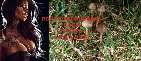 амф Алексин