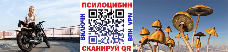 Галлюциногенные грибы прущие грибы  наркошоп  shop Telegram  Киреевск 