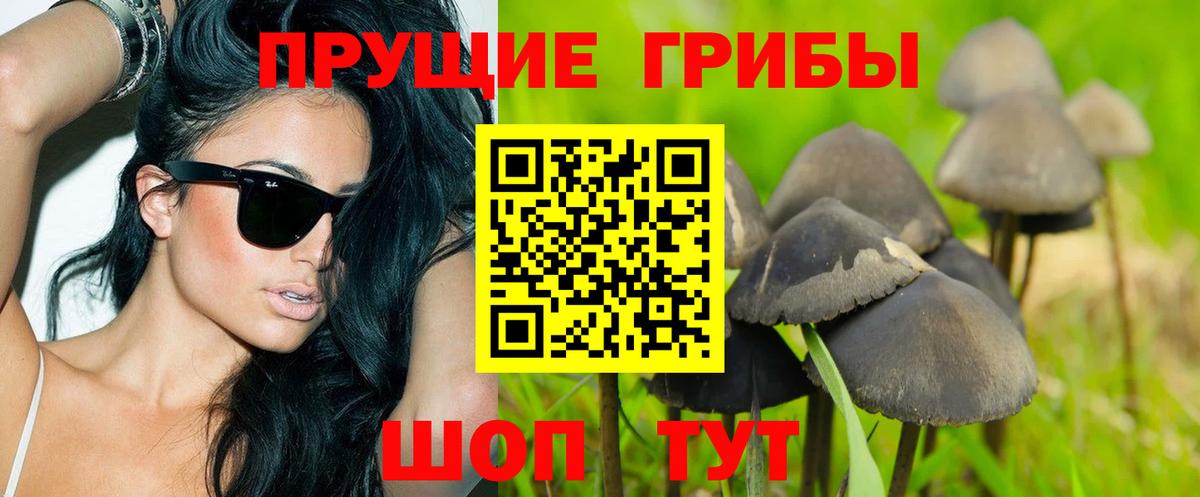 МЕТАДОН Киреевск
