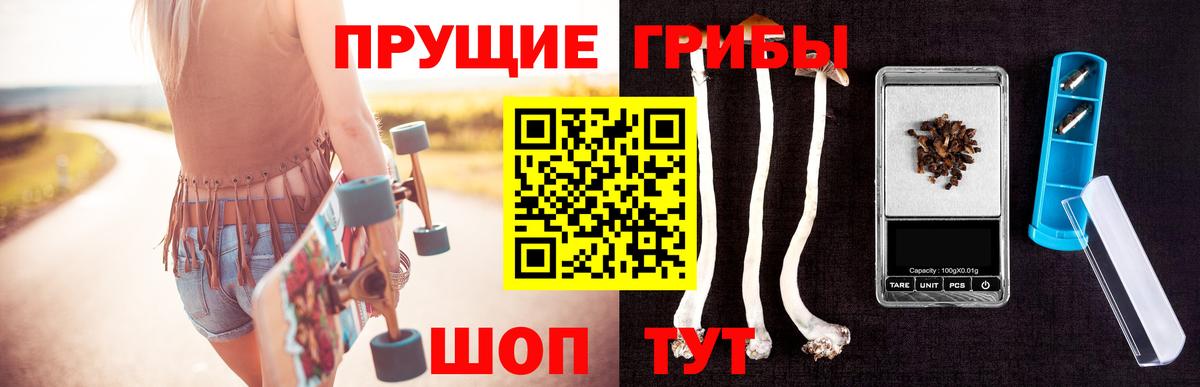 Галлюциногенные грибы Psilocybine cubensis  Псилоцибиновые грибы мицелий  Киреевск  Вход с VPN 